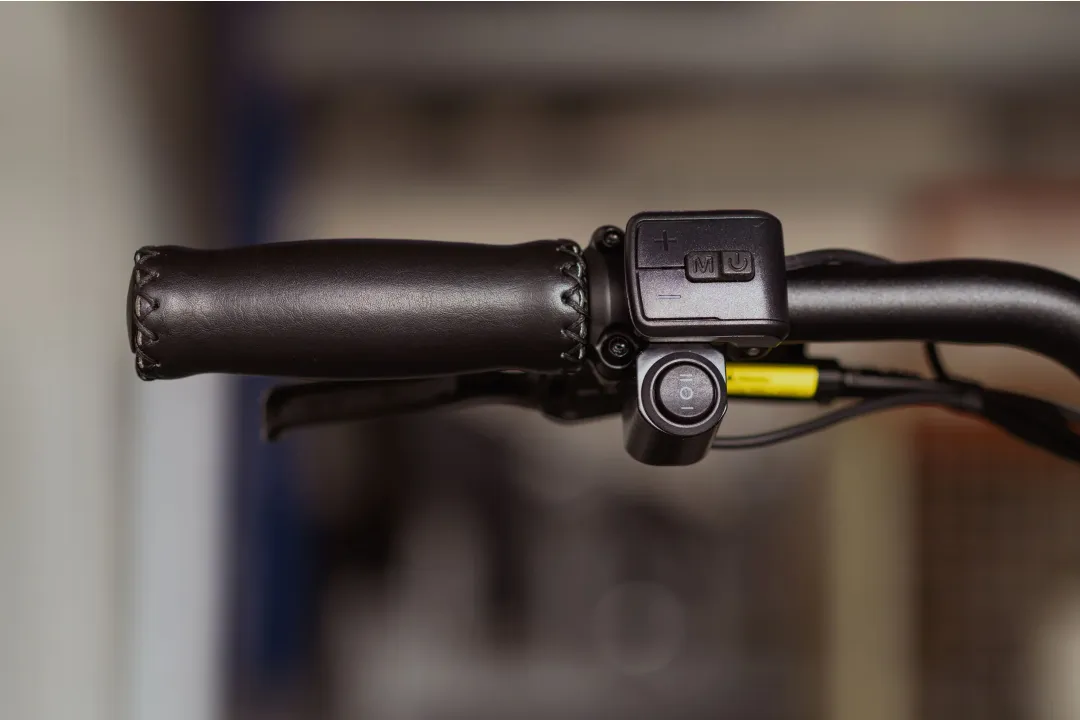 Colour display incl. controls - 20230209 fatbike astonic 60 27 10 20 29 - AC00034