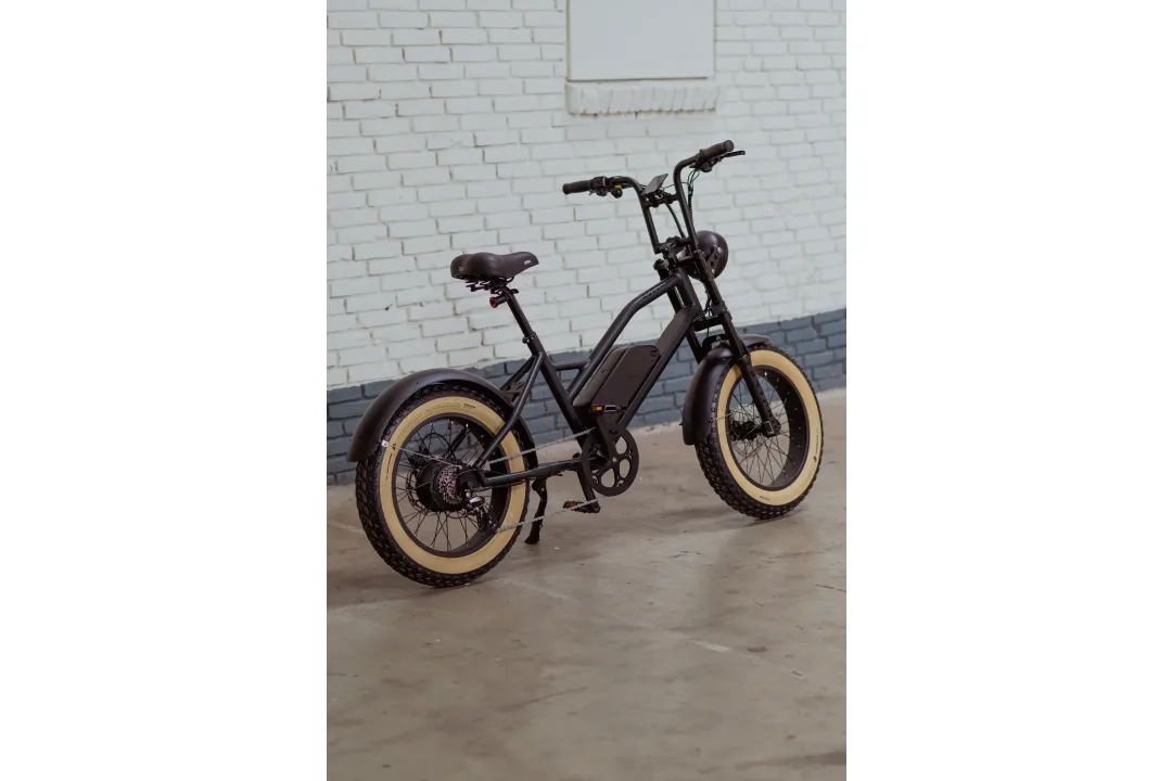 Astonic Breeze | Sky High - E fatbike astonic 1 118 1 - AB250SHG (6)