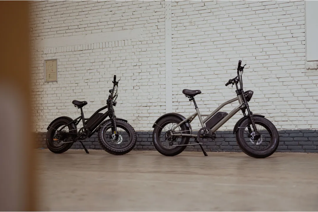 Astonic Breeze | Sky High - E fatbike astonic 1 232  - AB250SHG