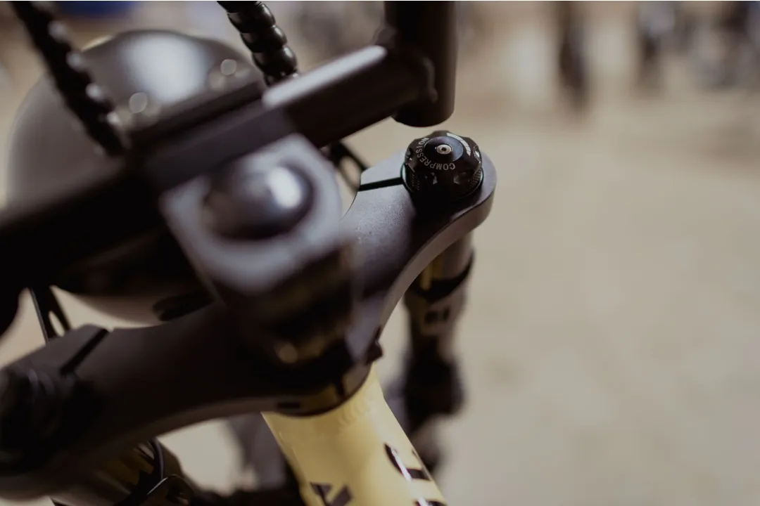 Astonic Breeze | Sky High - E fatbike astonic 1 3 1 - AB250SHG (3)