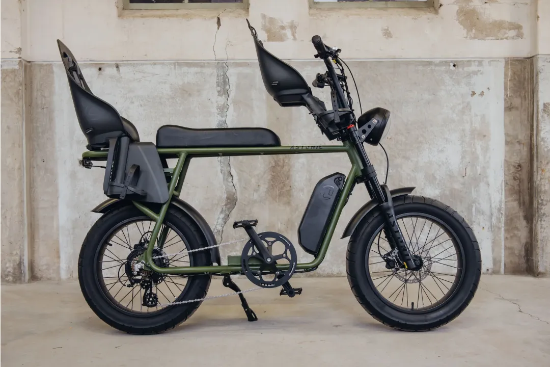 Astonic Earth Extended - E fatbike astonic 204  - AEE250OG (2)