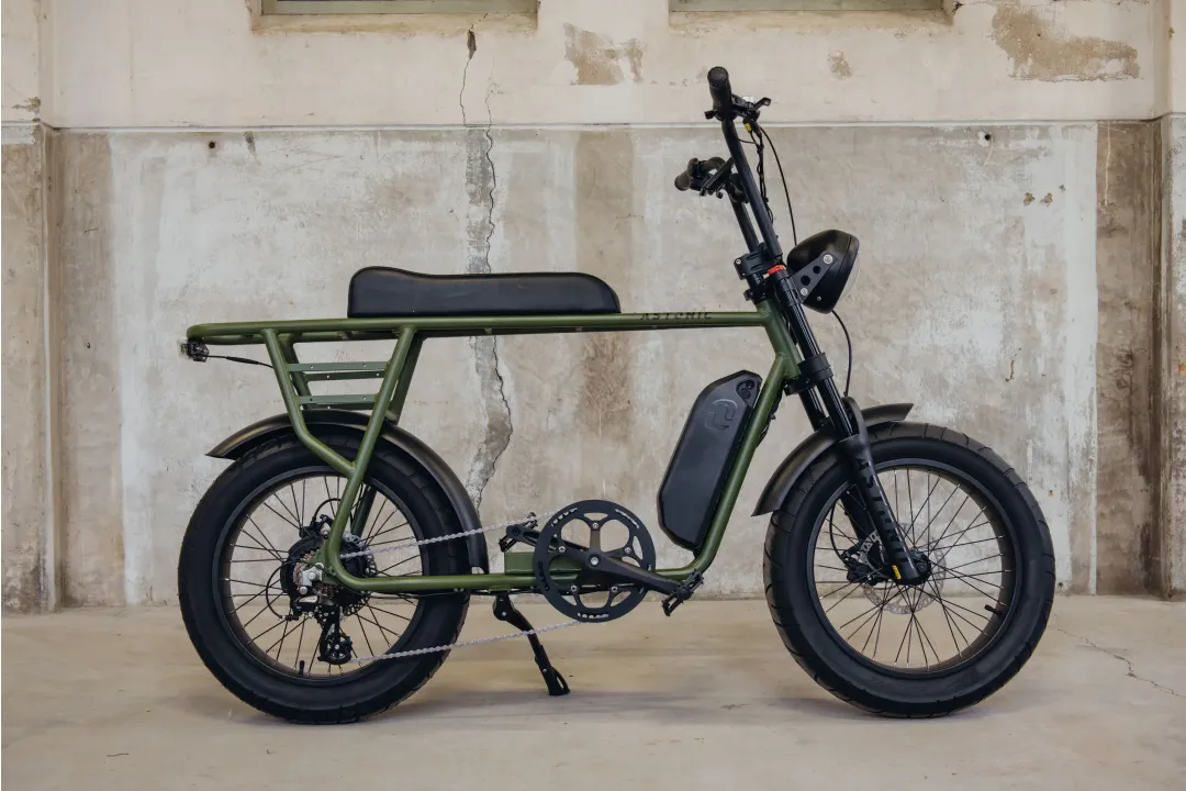 Astonic Earth Extended - E fatbike astonic 352 1 - AEE250OG (2)