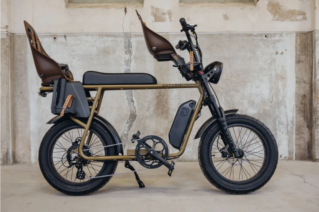 Astonic Earth extended | Familie editie - E fatbike astonic 366  - AEE250FKG