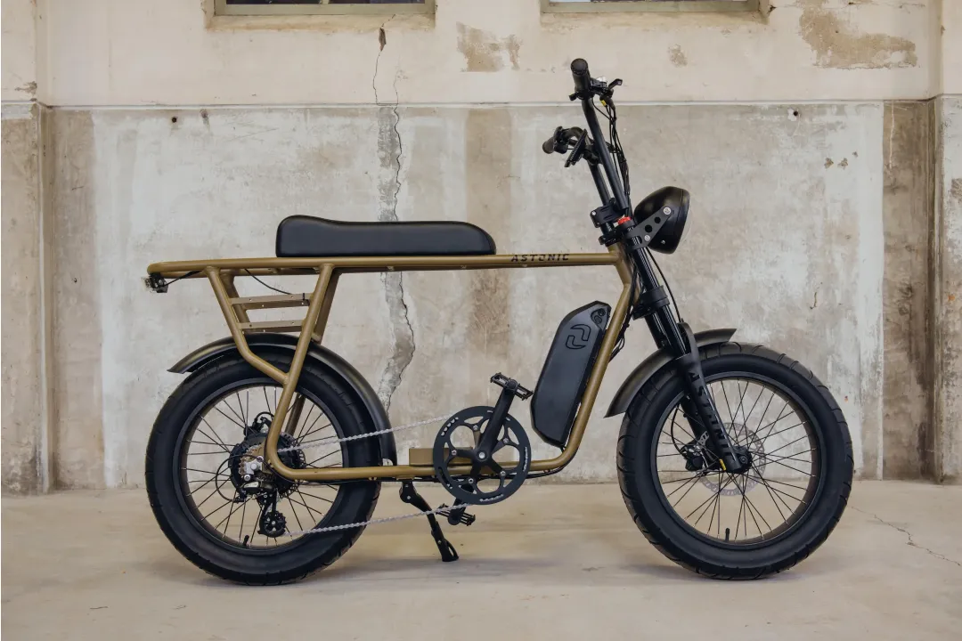 Astonic Earth Extended - E fatbike astonic 380 1 - AEE250KG (1)
