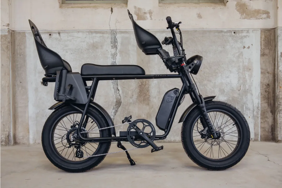 Astonic Earth extended | Familie editie - E fatbike astonic 431 1 - AEE250FGB (1)