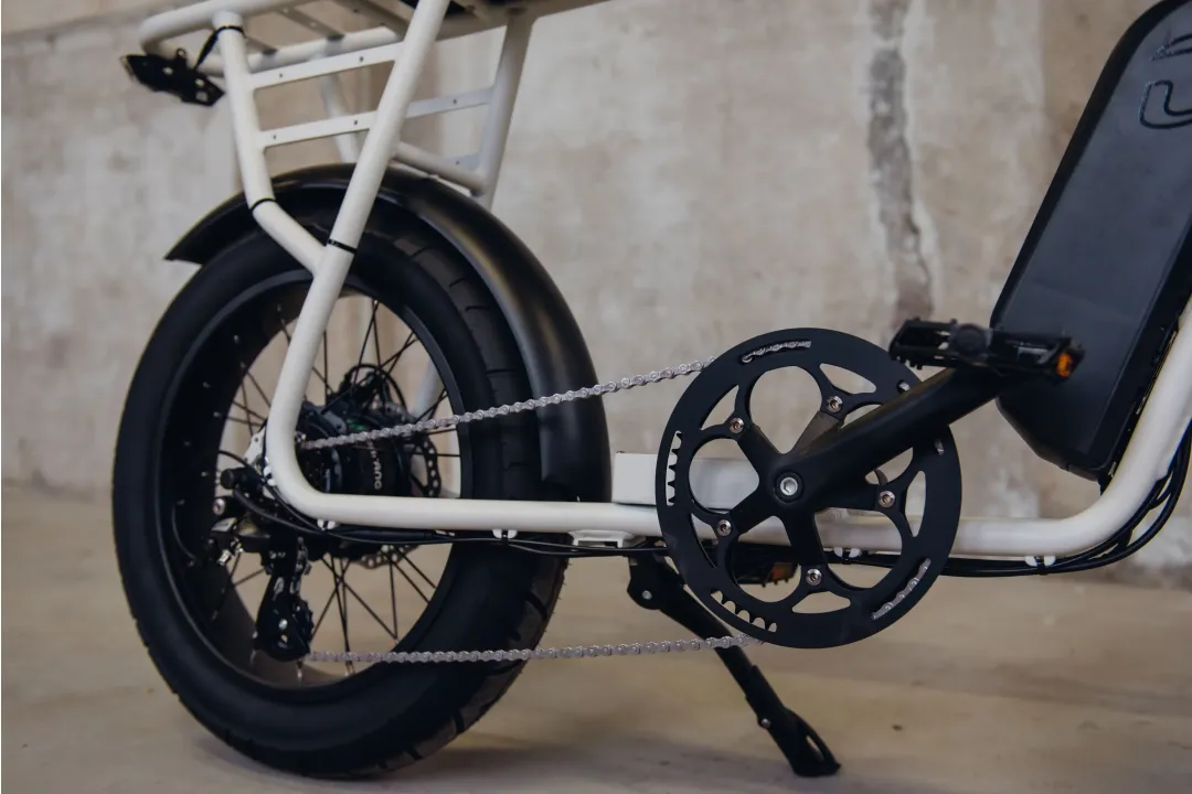 Astonic Earth Extended - Fatbike astonic 217 1 - AEE250BSW(3)