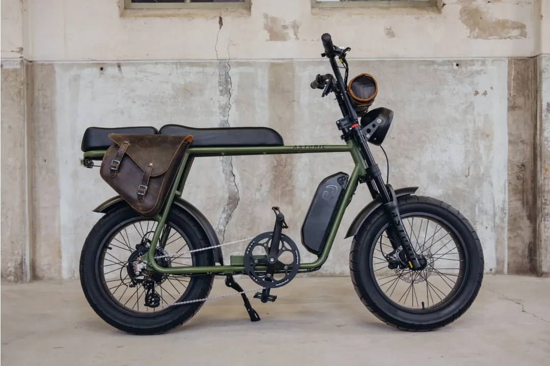 Astonic Earth Extended - Fatbike astonic 243  - AEE250OG (2)