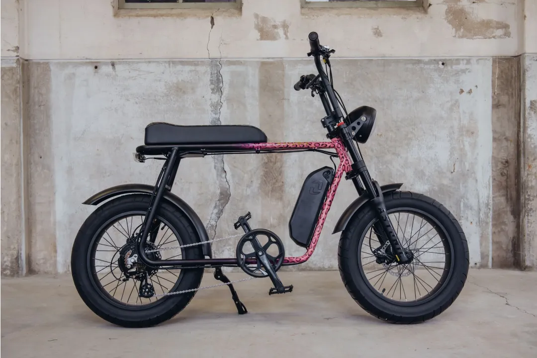 Maatwerk fatbike - Fatbike astonic 348  - Custom