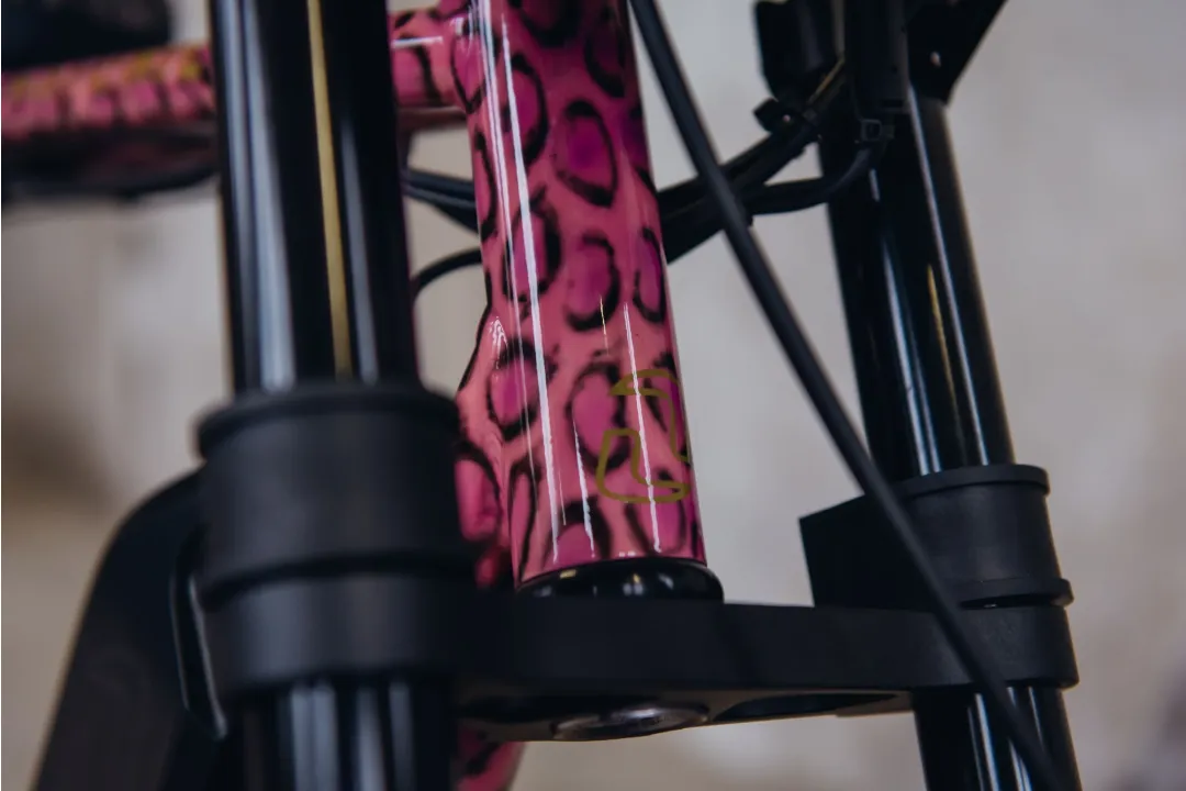 Maatwerk fatbike - Fatbike astonic 353  - Custom