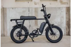 Astonic Earth | Extended - Fatbike astonic phatfour 2 3 - AEE250GB