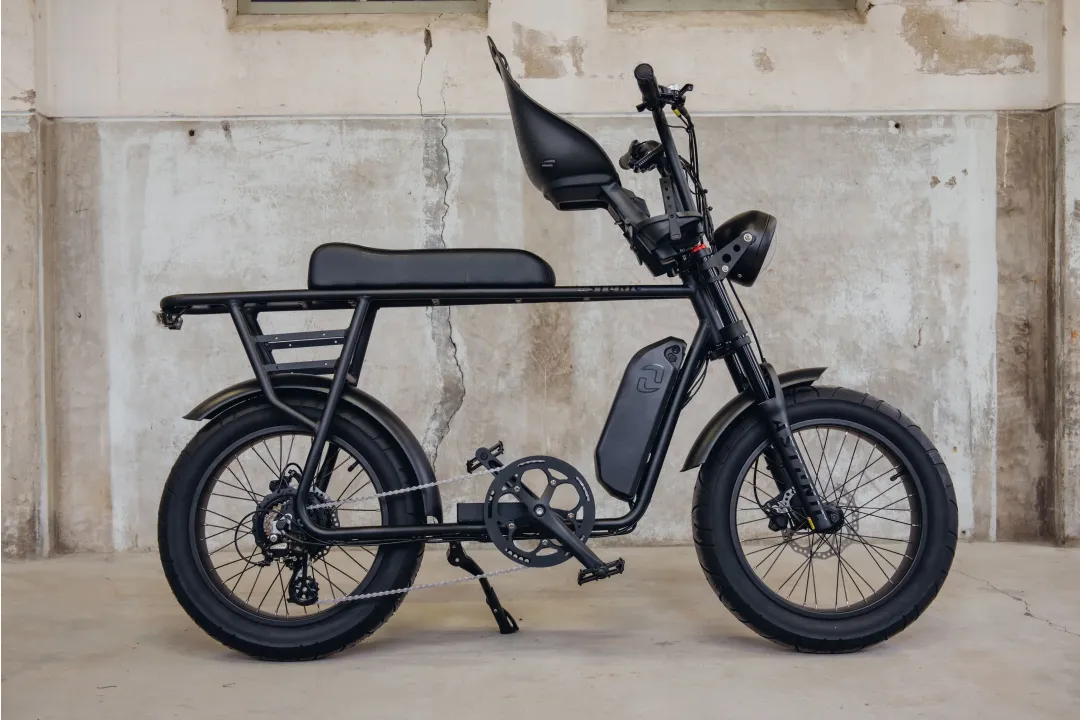 Astonic Earth Extended - Fatbike astonic phatfour 21  - AEE250GB