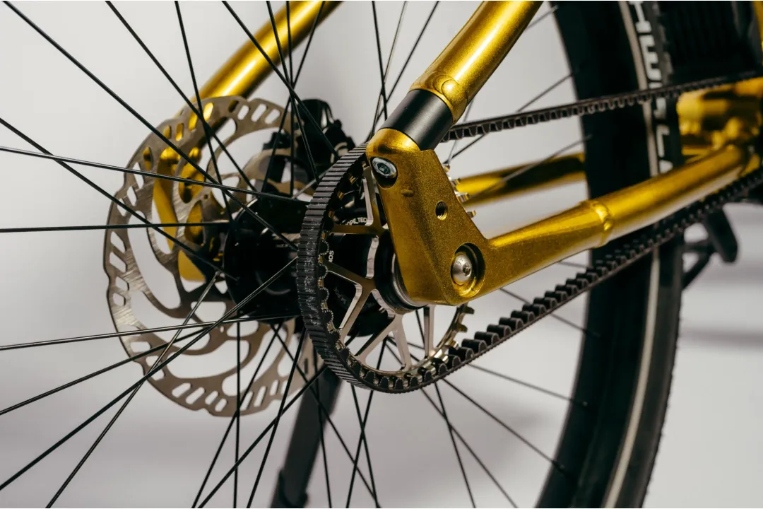 Astonic Wave sport - Meest exclusieve e bike handgemaakt in nederland 10 11 - AW250S (560)