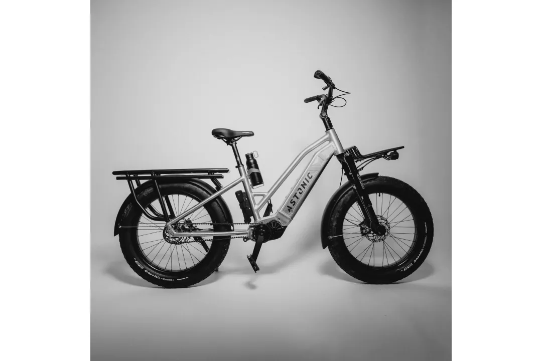Astonic Wave step true - Meest exclusieve e bike handgemaakt in nederland 153 - AW250ST