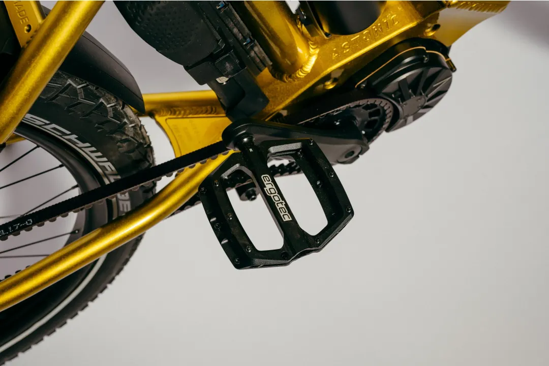 Astonic Wave sport - Meest exclusieve e bike handgemaakt in nederland 17 2 - AW250S (560)