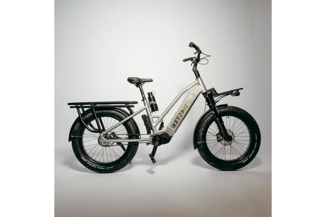 Astonic Wave step true - Meest exclusieve e bike handgemaakt in nederland 201 - AW250ST