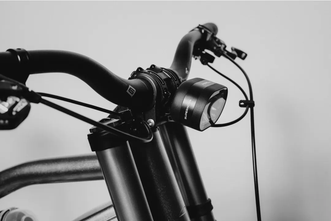 Astonic Wave step true - Meest exclusieve e bike handgemaakt in nederland 36 - AW250ST