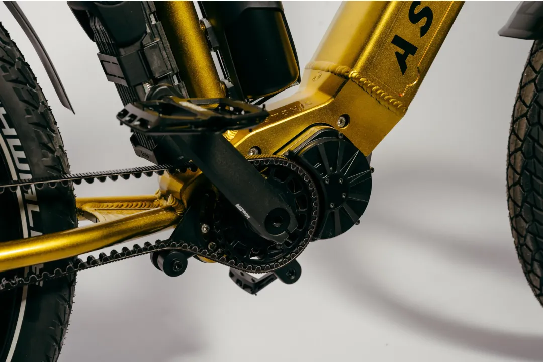 Astonic Wave sport - Meest exclusieve e bike handgemaakt in nederland 4 - AW250S (560)