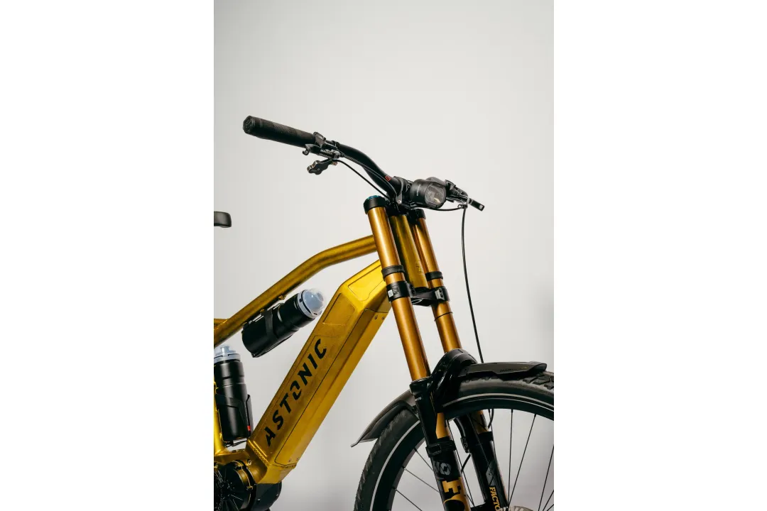 Astonic Wave sport - Meest exclusieve e bike handgemaakt in nederland 6 - AW250S (560)