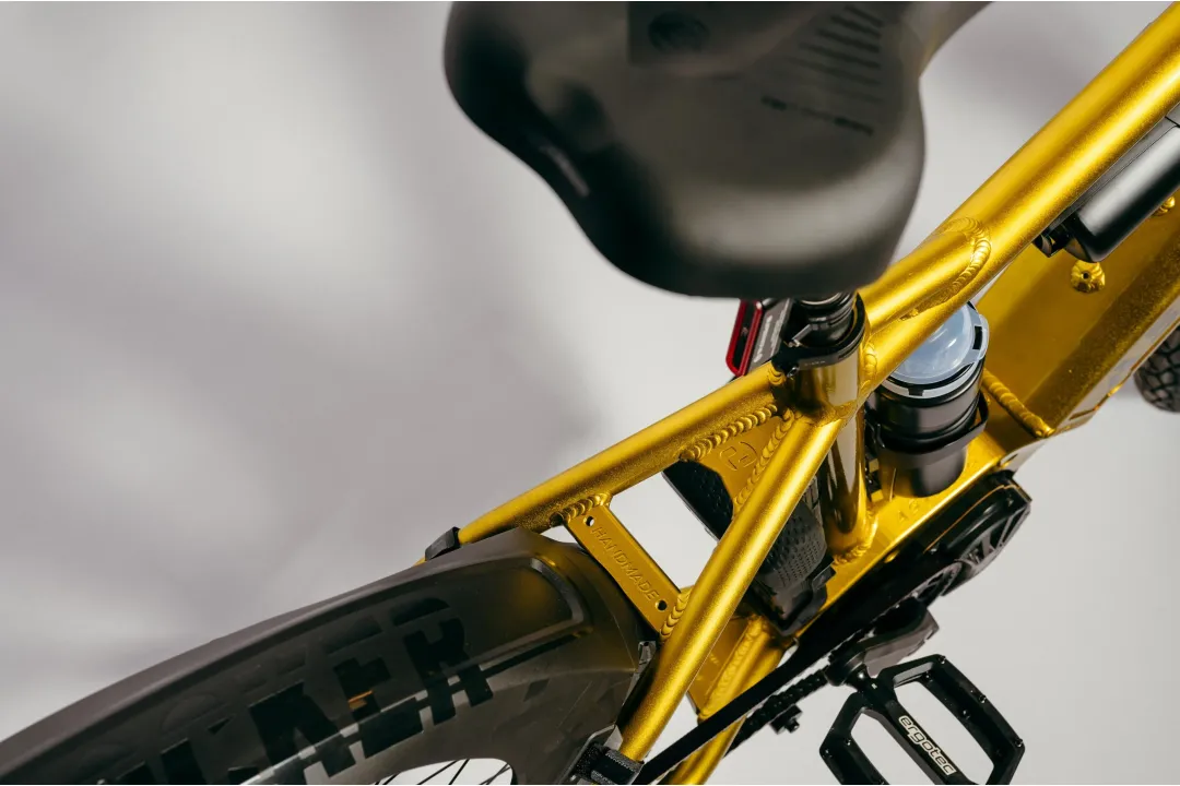 Astonic Wave sport - Meest exclusieve e bike handgemaakt in nederland 7 - AW250S (560)