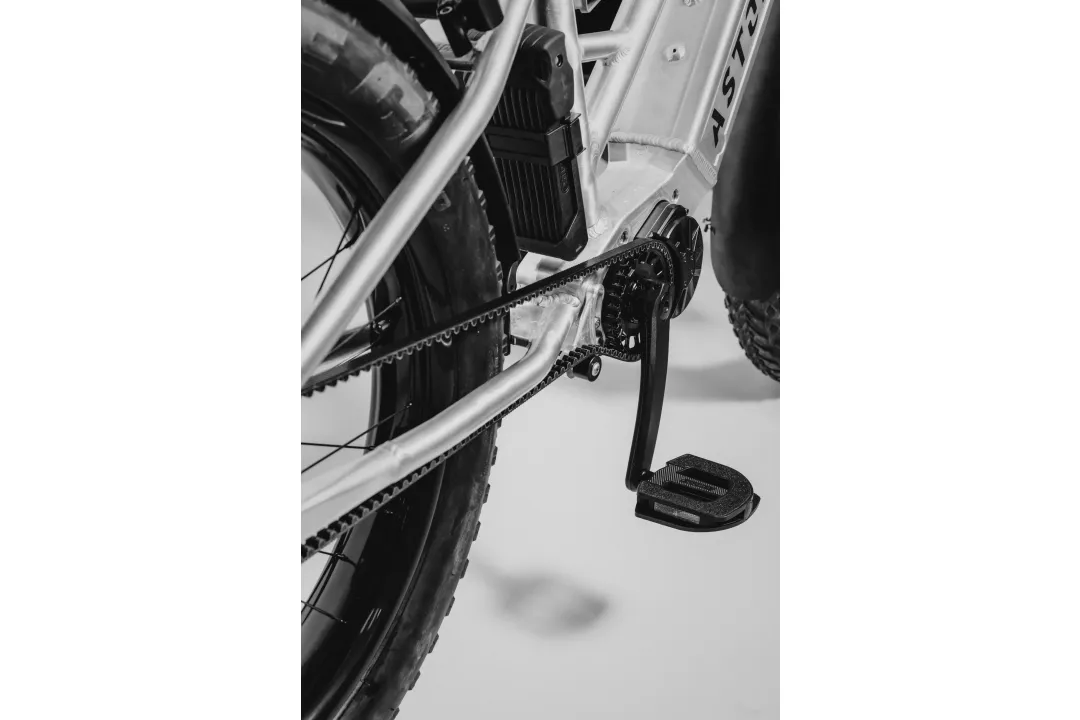 Astonic Wave step true - Meest exclusieve e bike handgemaakt in nederland 86 - AW250ST