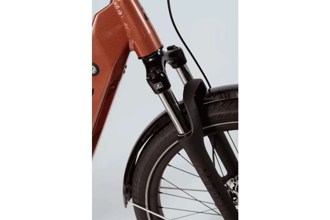Astonic Element - Stabiele fiets voor senioren 95 - AES250